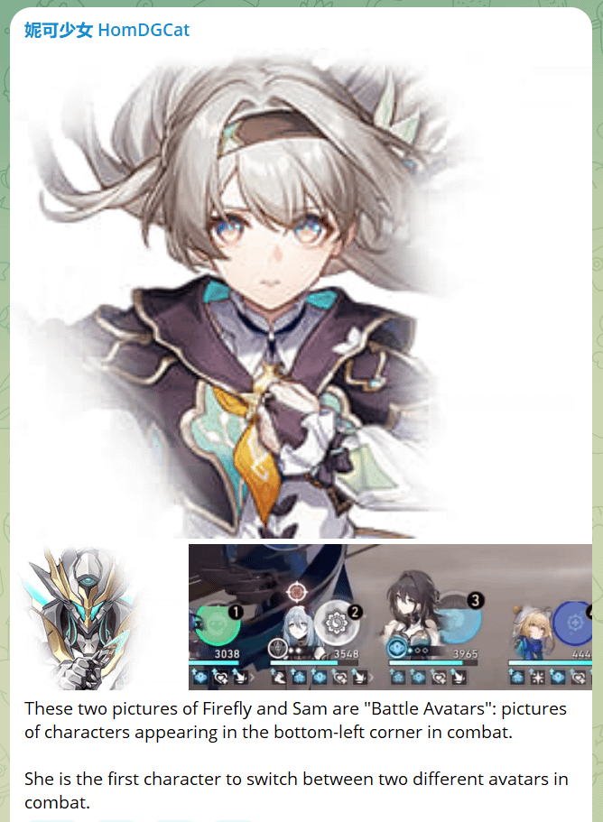 [HomDGCat 2.2v1] ホタルの絵について