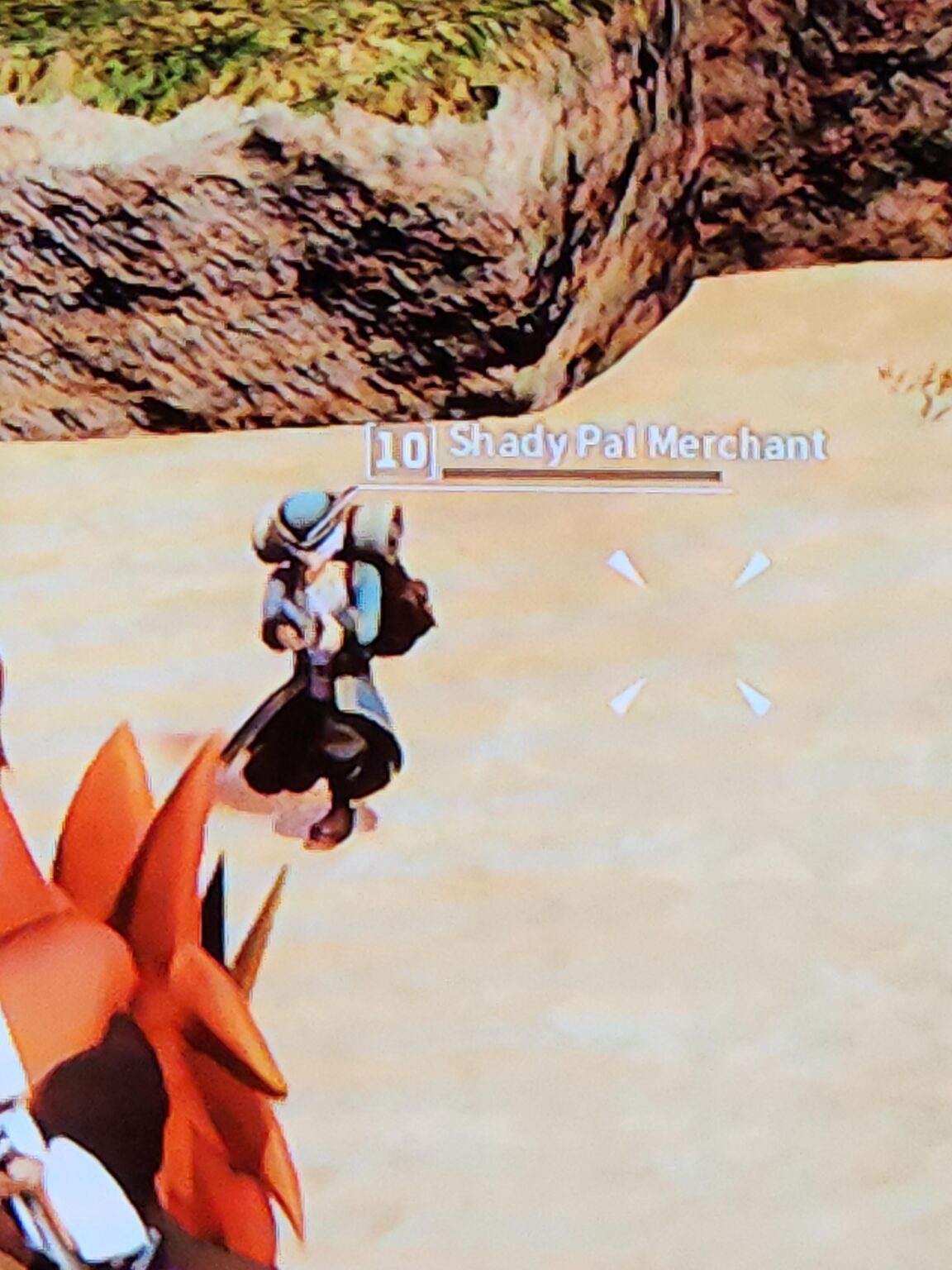 新しいNPC? 怪しい仲間の商人