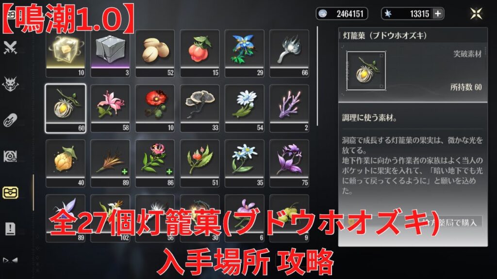 【鳴潮1.0】突破素材 全27個灯籠菓(ブドウホオズキ) 入手場所 攻略【Wuthering Waves】