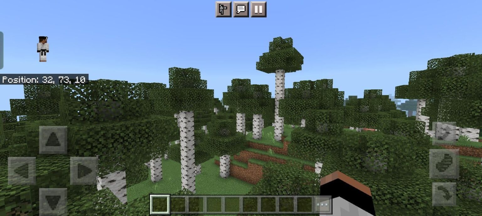 白樺の木って本当にこんなに長いんですか？