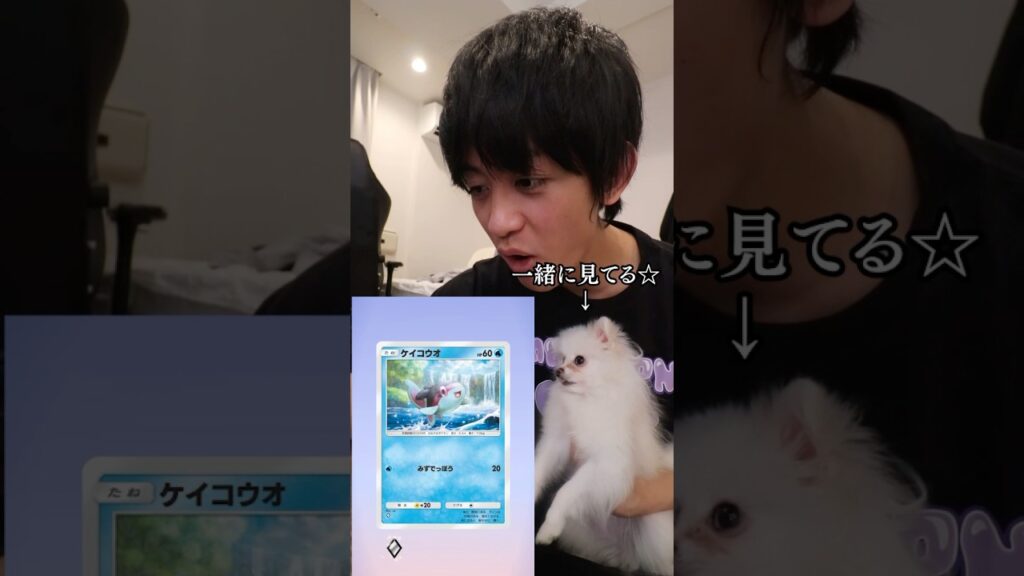 ポケポケ限度額まで課金してクラウンレア狙った結果がヤバすぎた #ポケポケ #ポケモン #ポケカ #幻のいる島 ポケポケ限度額まで課金してクラウンレア狙った結果がヤバすぎた #ポケポケ #ポケモン #ポケカ #幻のいる島