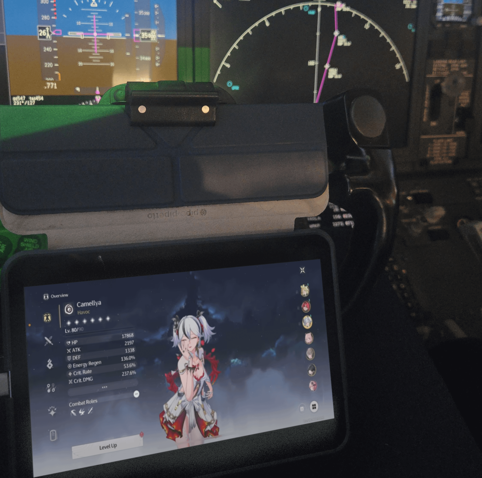 クルーズ中にパイロットがウーワをしているところを捕らえられる