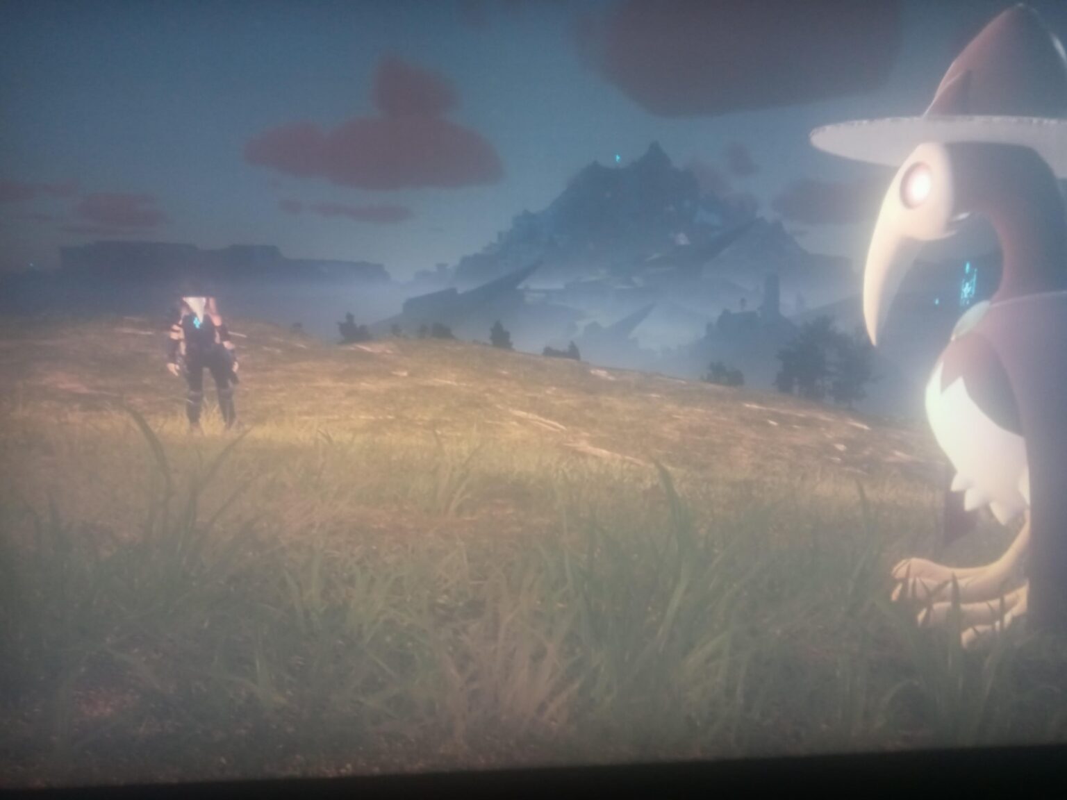 「私たちは負担の獣です、あなたと私、Cawgnito。」