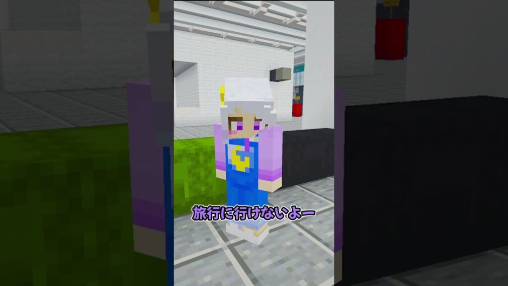 飛行場で大泥棒を捕まえろ！ #マイクラ #マインクラフト #ぱちしゅう