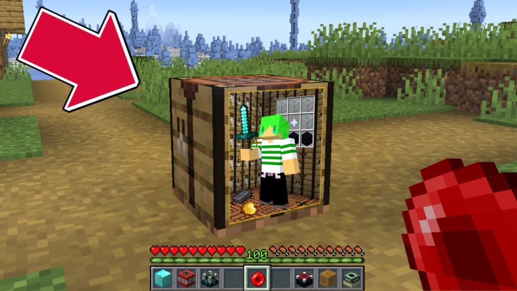 アイテムの中に入れる世界でサバイバル【マインクラフト】 アイテムの中に入れる世界でサバイバル【マインクラフト】