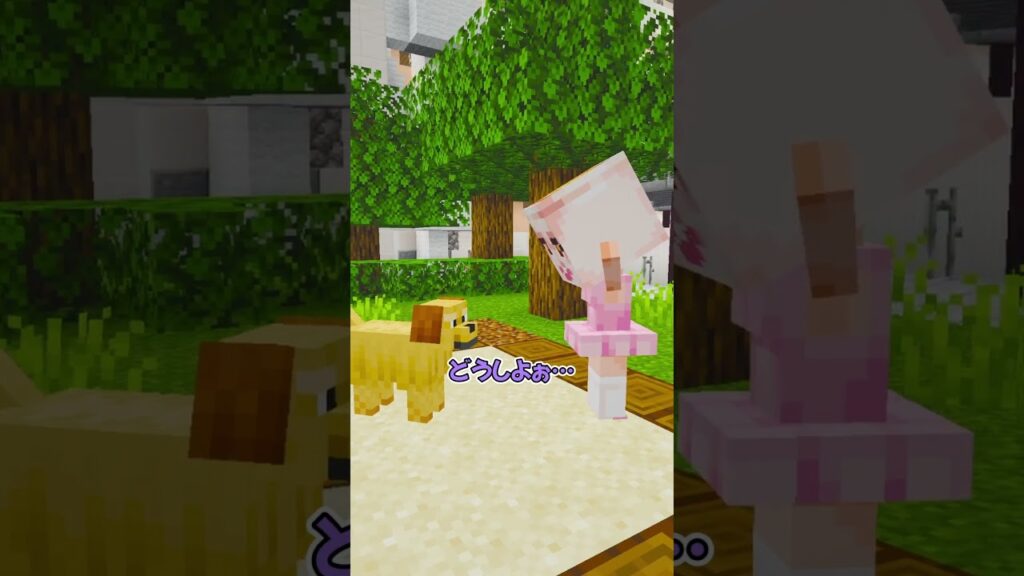 友達がバレリーナカプチーノになっちゃった！？ #マイクラ #マインクラフト #ぱちしゅう