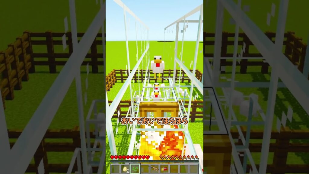 簡単溶岩チキンの装置   #マイクラ #マインクラフト #ぱちしゅう