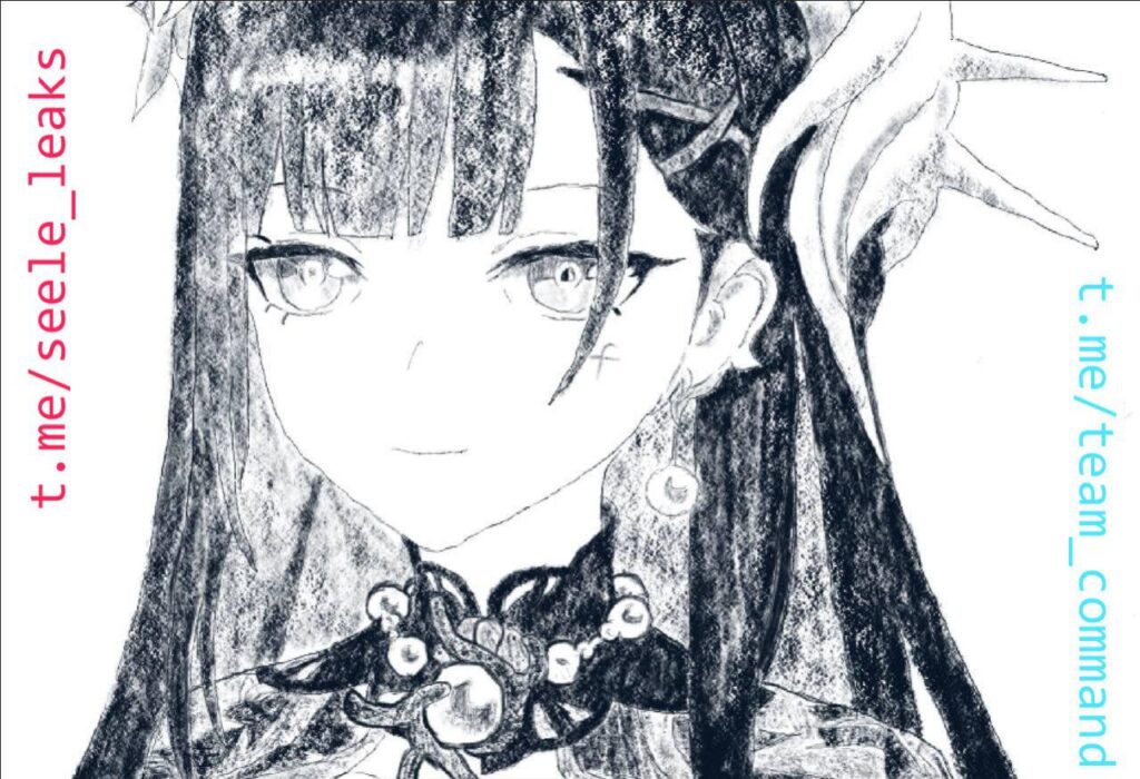 アトリ漏れを介したヒシレンズの顔の白黒スケッチ