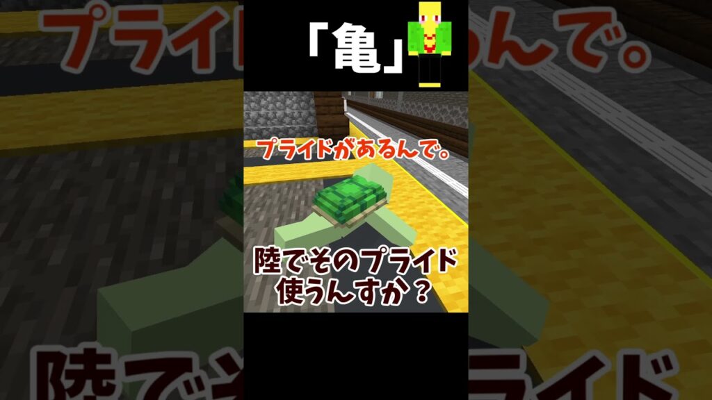 亀をナメていたら...