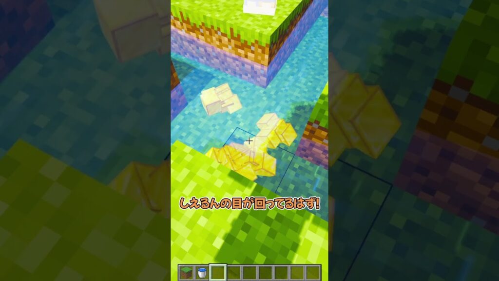 目が回る  #マイクラ #マインクラフト #ぱちしゅう