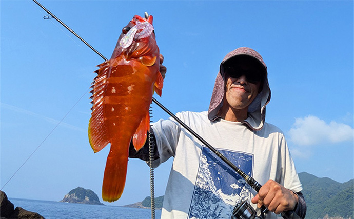 地磯ロックフィッシュゲームで35cm超え筆頭にアカハタが連発【三重】ヤミハタもヒット