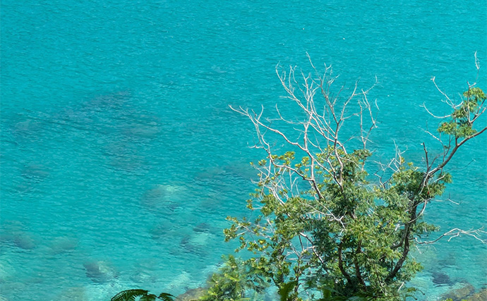 地磯ロックフィッシュゲームで35cm超え筆頭にアカハタが連発【三重】ヤミハタもヒット