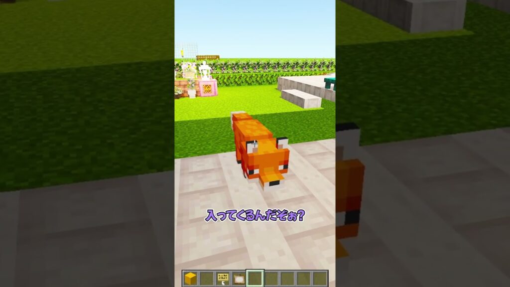 かわいいキツネ専用の入口 #マイクラ #マインクラフト #ぱちしゅう