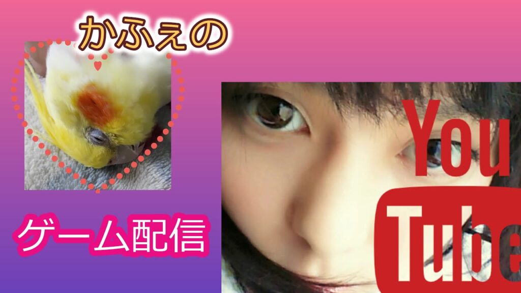 【初心者】かふぇのパルワールド　限定参加型
