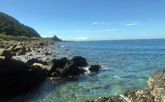 陸っぱりロックゲームでアカハタが連発！【高知】クリスタルラメカラーに好反応