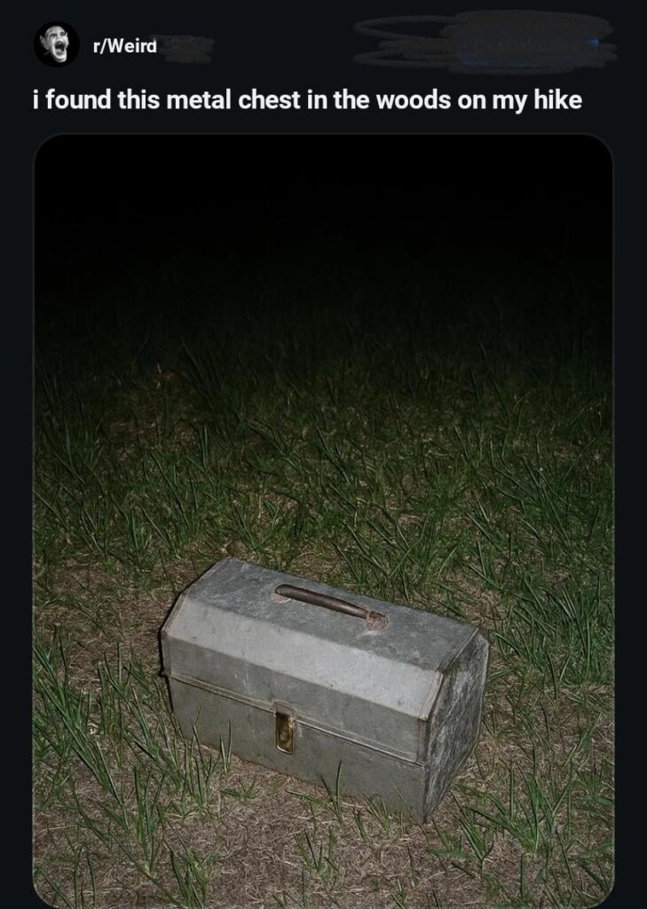 palworld x irl