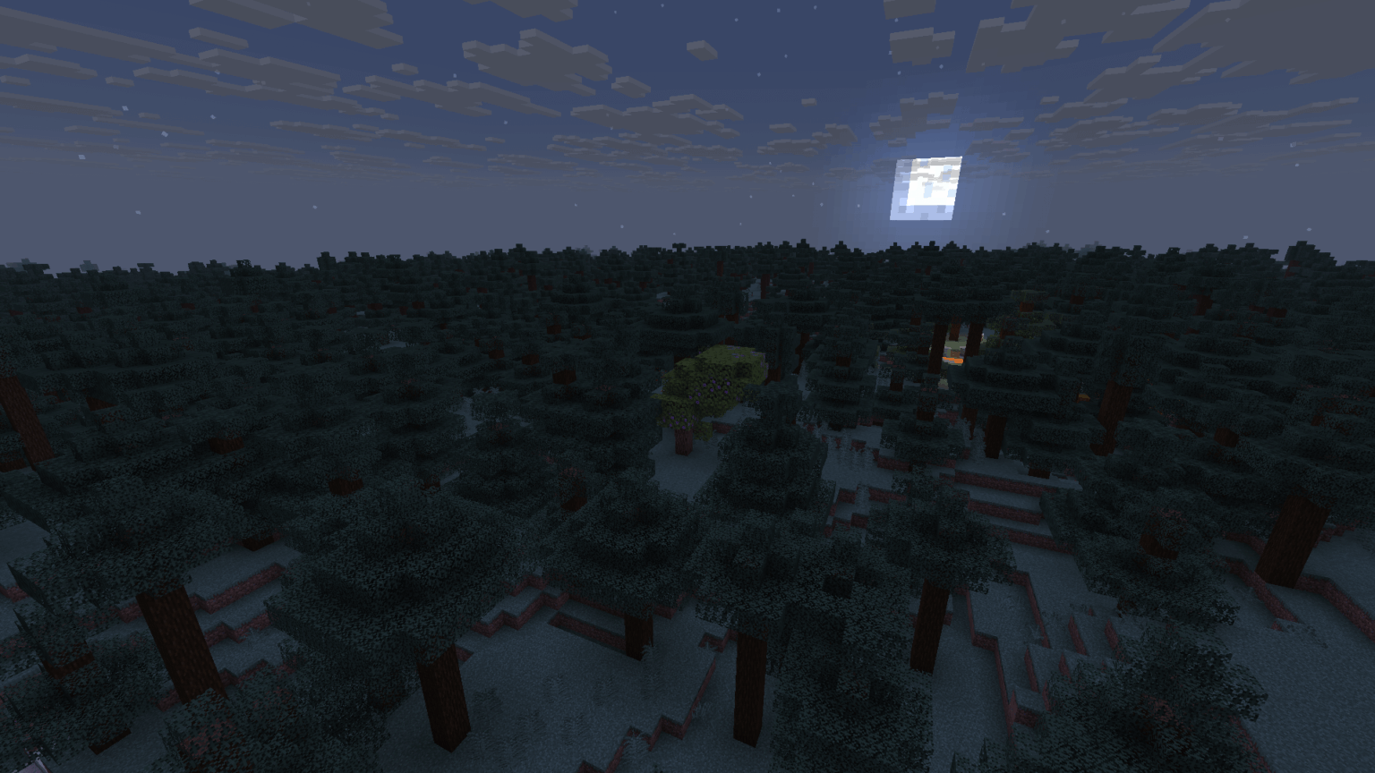 一本の異なる木