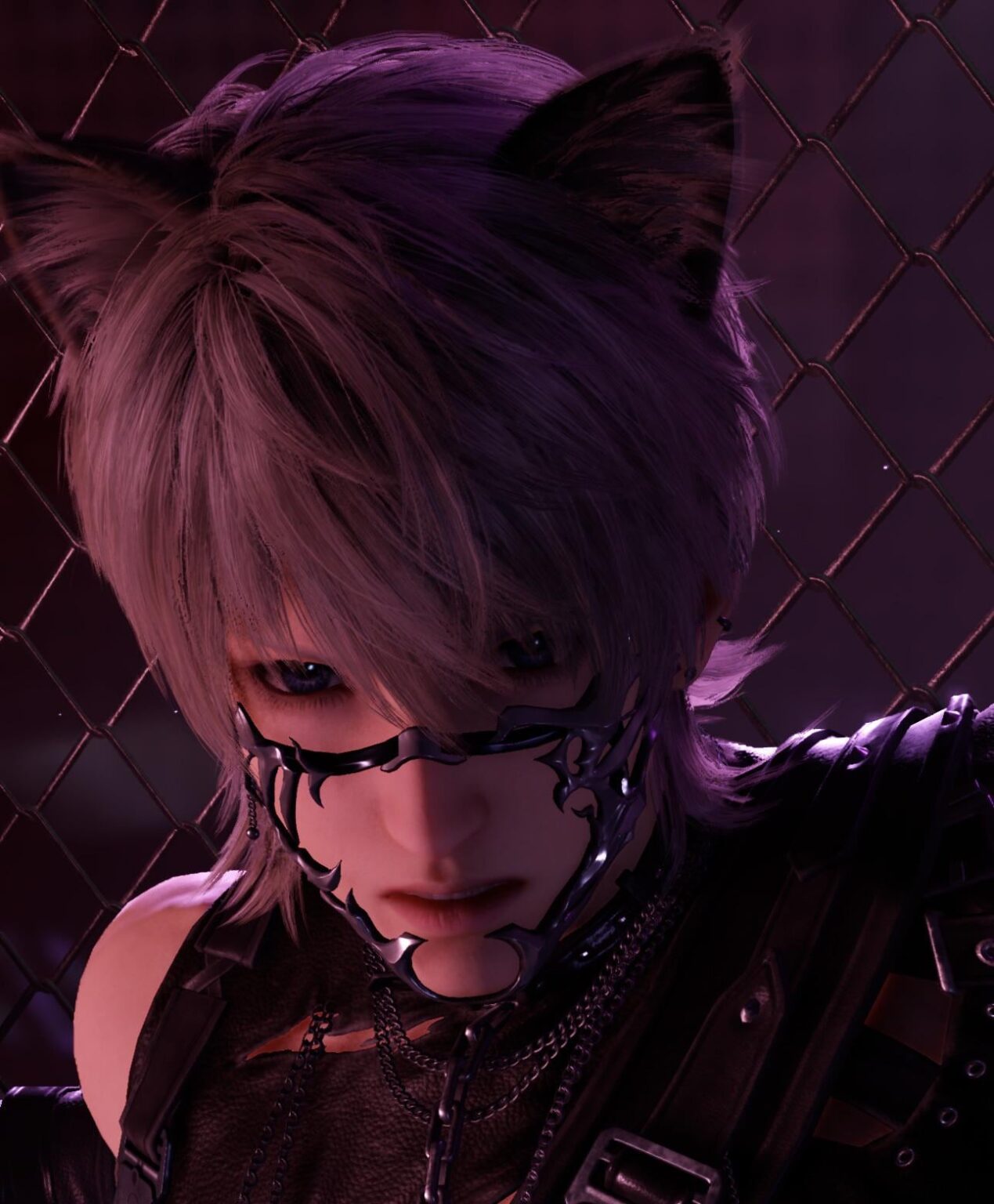 スパイシーな子猫です。