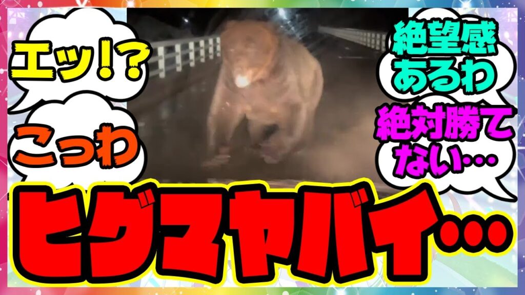 『北海道の牧場作業員が橋の上でヒグマに遭遇』に対するみんなの反応集 まとめ ウマ娘プリティーダービー 『北海道の牧場作業員が橋の上でヒグマに遭遇』に対するみんなの反応集 まとめ ウマ娘プリティーダービー