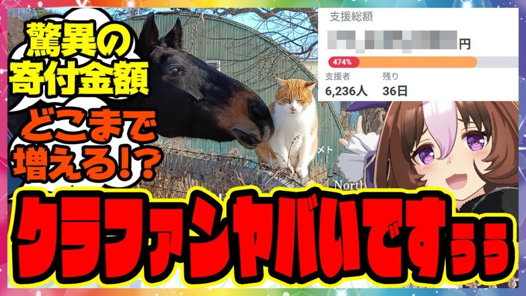 『ついにとんでもない金額を突破してしまった引退馬牧場ノーザンレイクのクラウドファンディング』に対するみんなの反応集 ウマ娘プリティーダービー レイミン メイショウドトウ 牧場猫 寄付