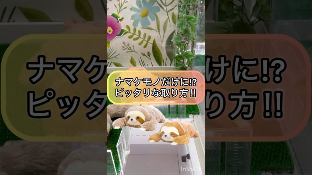 【クレーンゲーム攻略】ナマケモノだけに！？ピッタリな取り方！！