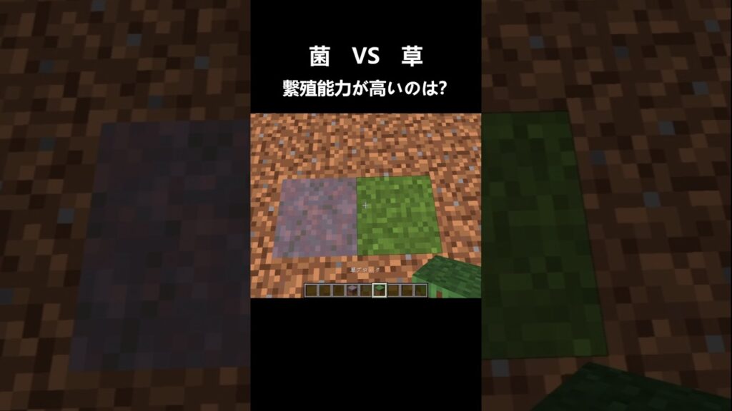 草と菌ってどっちが強いの？ #shorts #マインクラフト #マイクラ