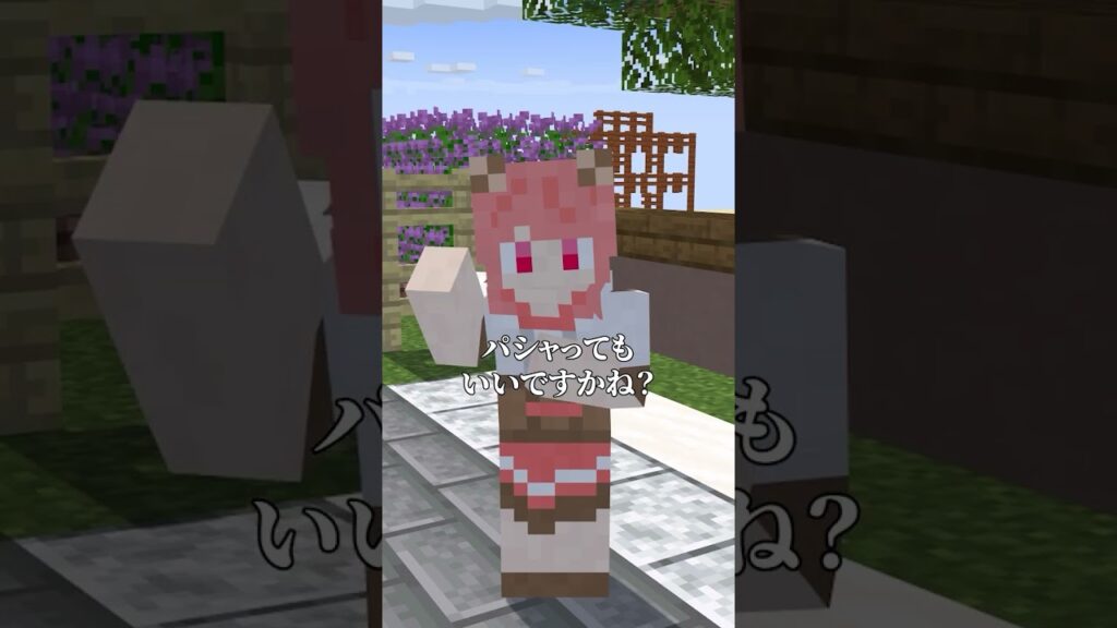 ストリートスナップ#からぴち #マインクラフト#shorts