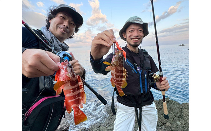 沖磯でのロックフィッシュゲームで30cm級アカハタ【西伊豆】ブッコミでは定番のウツボも登場