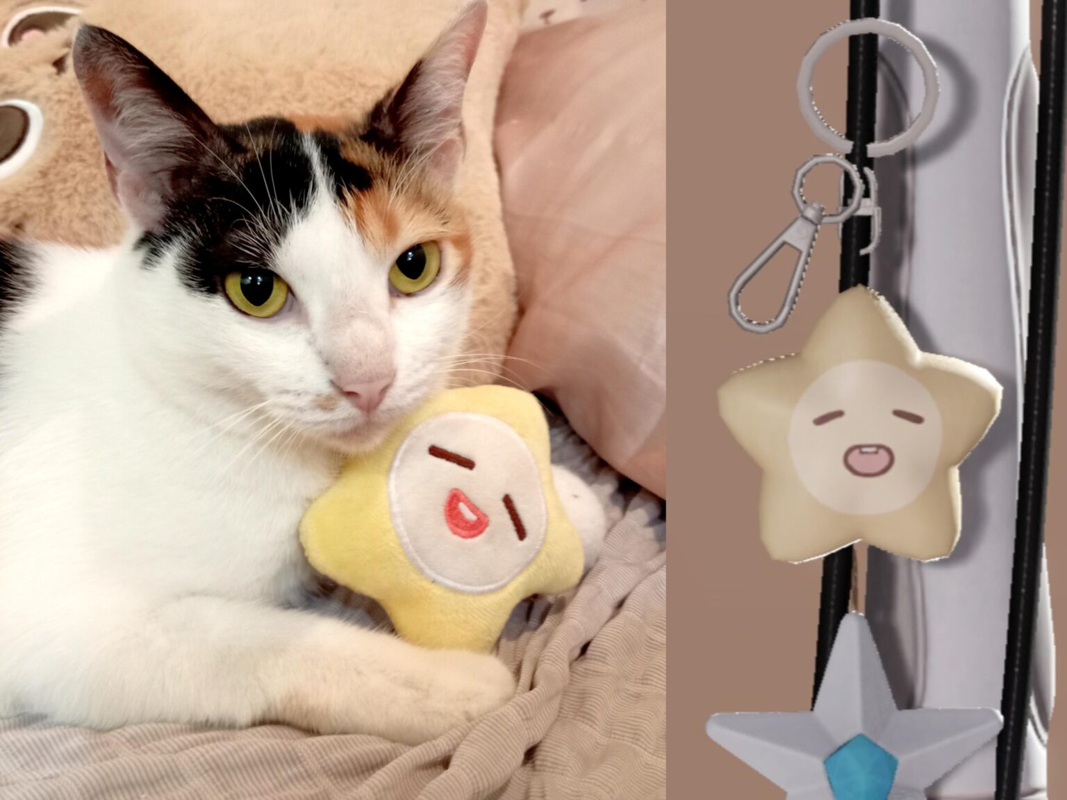 うちの猫がザヴからの星のタッスルを盗んでる!? 😧