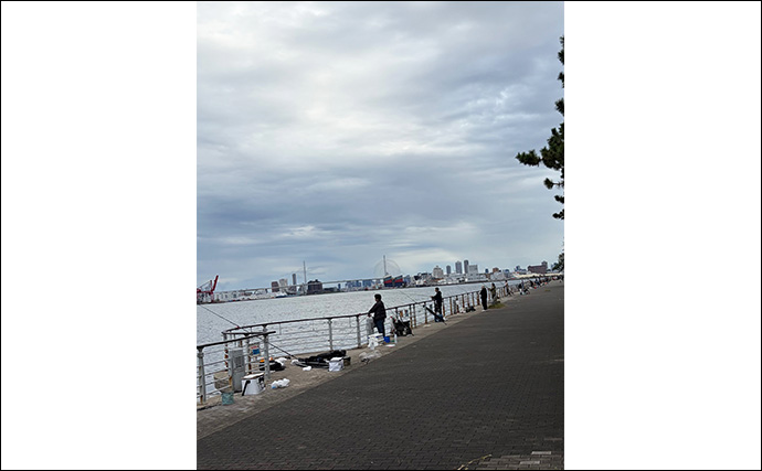 シーサイドコスモでのサゴシゲームで大苦戦【大阪】連日の人的プレッシャーが原因？