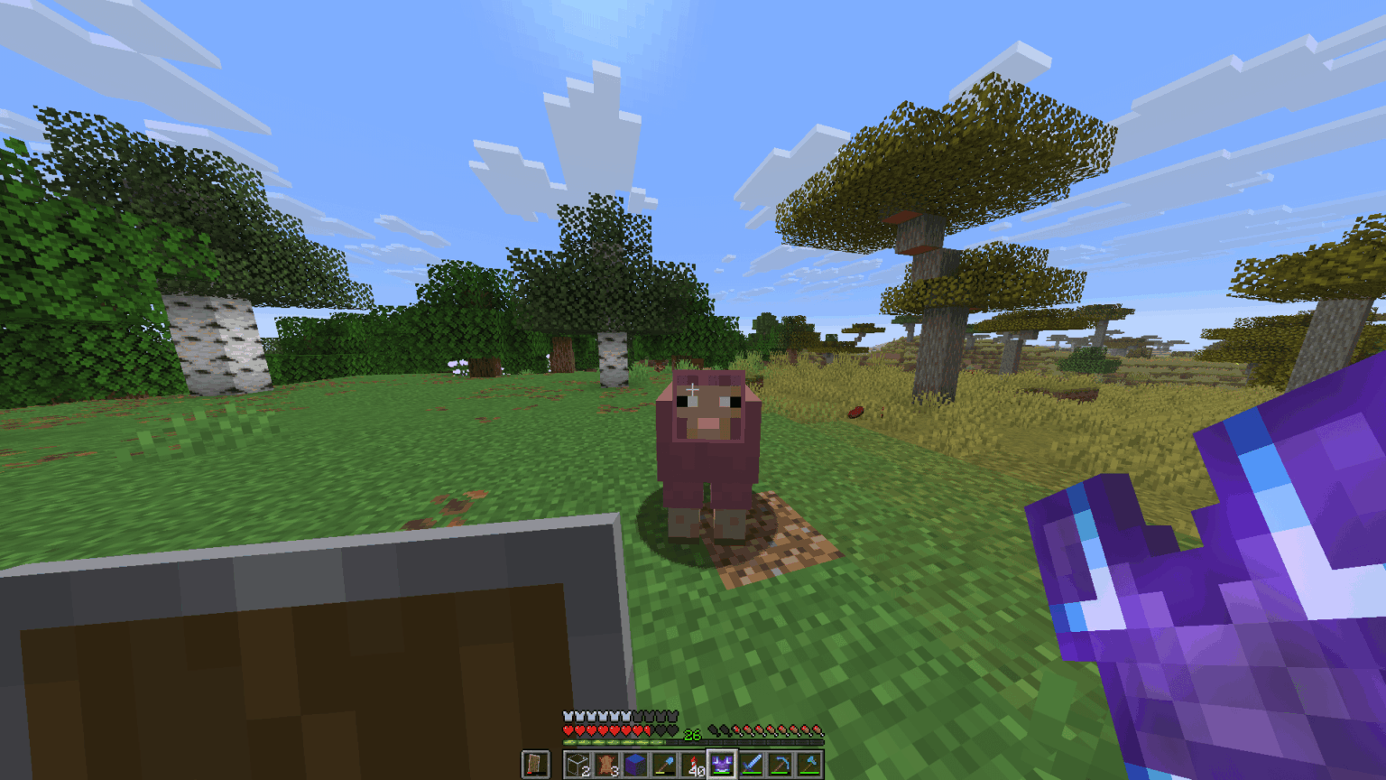 要塞の珍しい構造物を使った前回の投稿の下で、今日は同じ側にピンクの羊を見つけました。シド 2129007541626479820