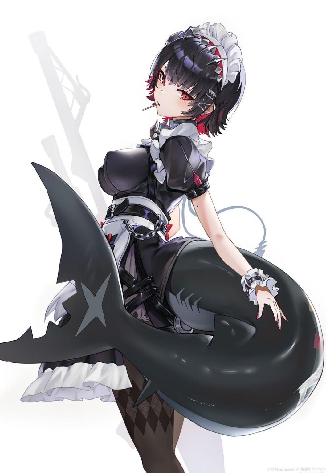 太いショークテール