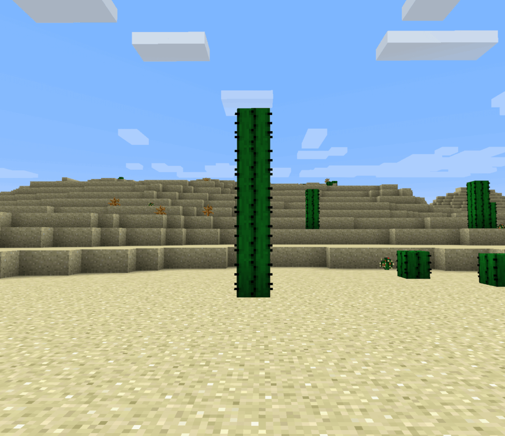 信じられないほど背の高いサボテンを見つけました