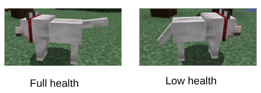 豆知識: 犬のしっぽを見れば、犬の健康状態がわかります。