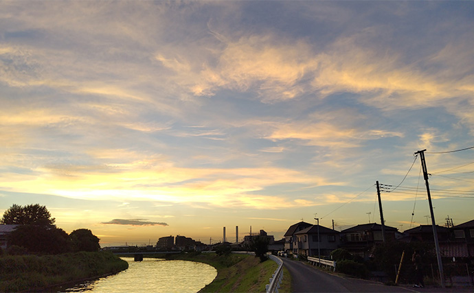 リバーシーバスゲームで62cm頭に良型シーバス3本キャッチ【千葉】流れの変化が肝