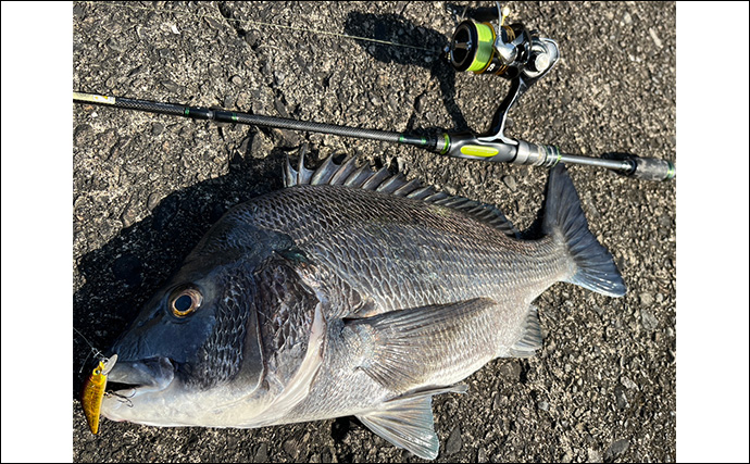 秋のメッキゲームで良型が入れ食い！【和歌山・南紀白浜】ミノー＆ボトムワインドに好反応
