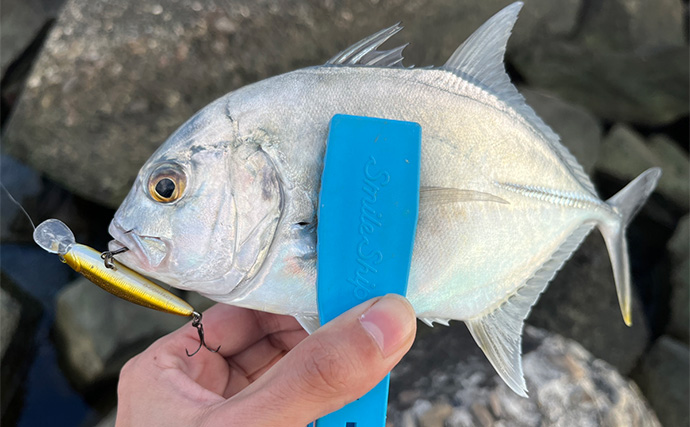 秋のメッキゲームで良型が入れ食い！【和歌山・南紀白浜】ミノー＆ボトムワインドに好反応