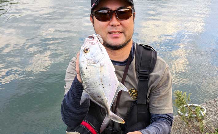 南伊勢のライトソルト五目ゲームで9種目制覇！【三重】港内で27cmメッキ＆37cmシオも登場 (2025年11月8日) - エキサイトニュース