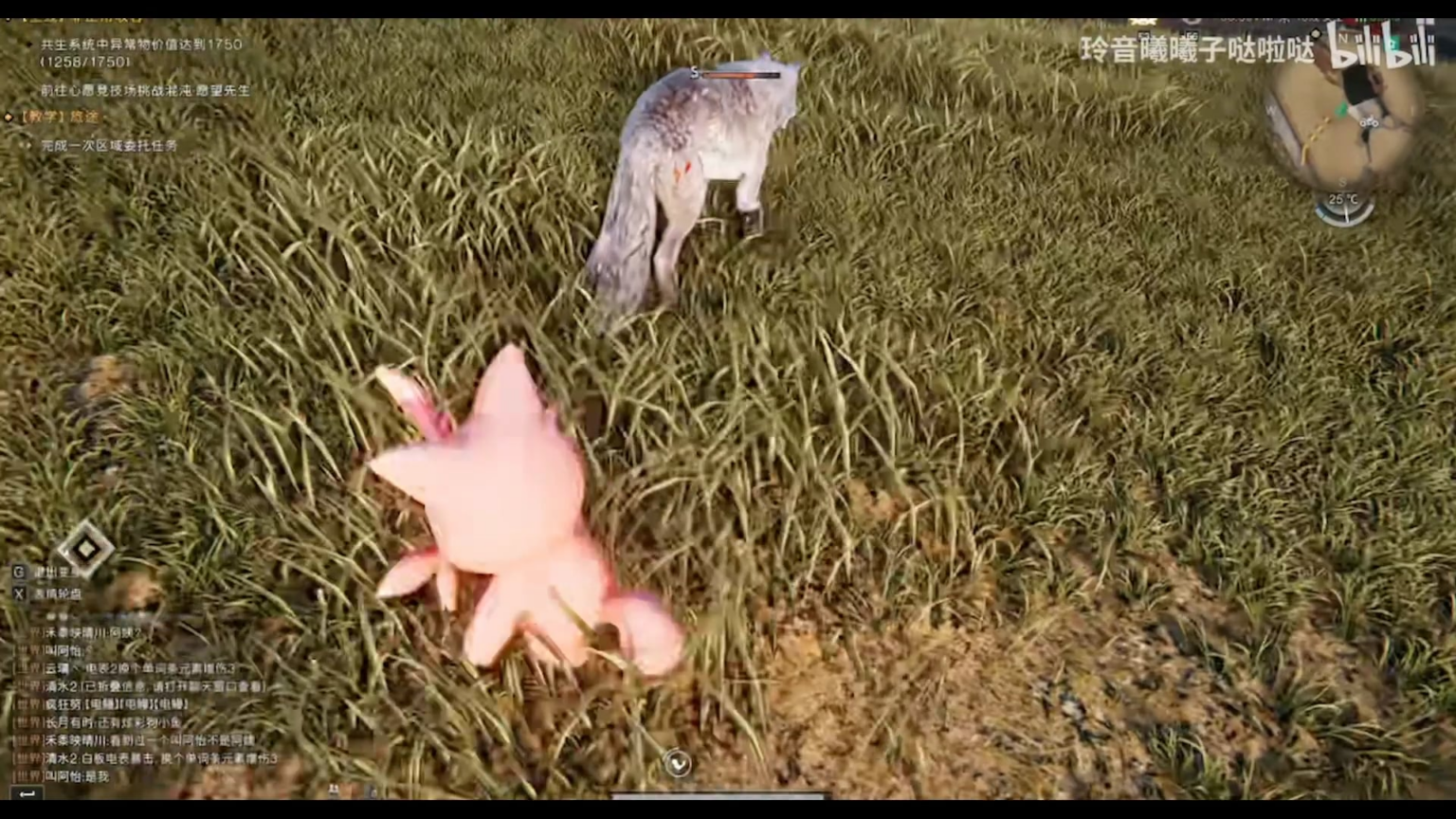 Cattivaは本当にオオカミに乗れるの?!