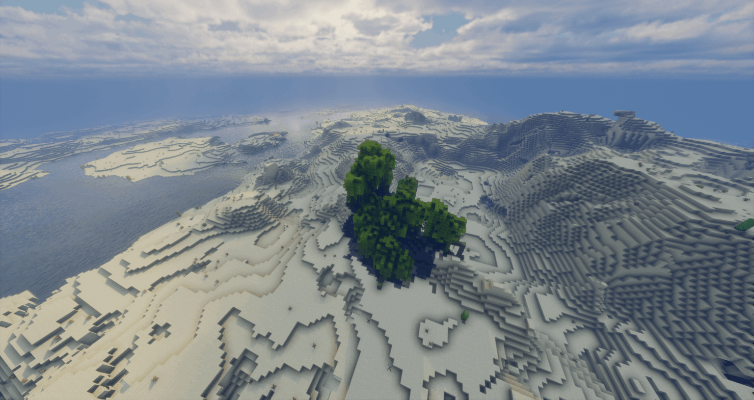 それで、私は砂漠の真ん中でこのクールな小さなマングローブバイオームを見つけました