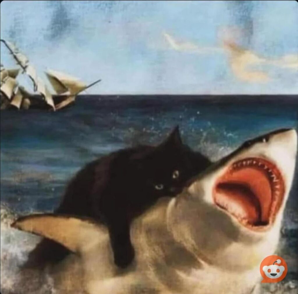 これは私だけでしょうか、それとも釣りが下手なのでしょうか、クリックできるよりもバーの動きが速くなります。バーが隅に詰まったときに仲間を捕まえたのはこの1回だけです。 （スキルの問題でしょうか）（画像は関係ありません）