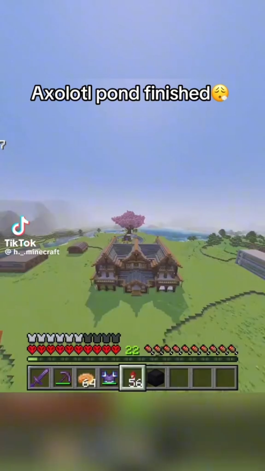 そのような平らで大きな平原バイオームを持つシードを探しています