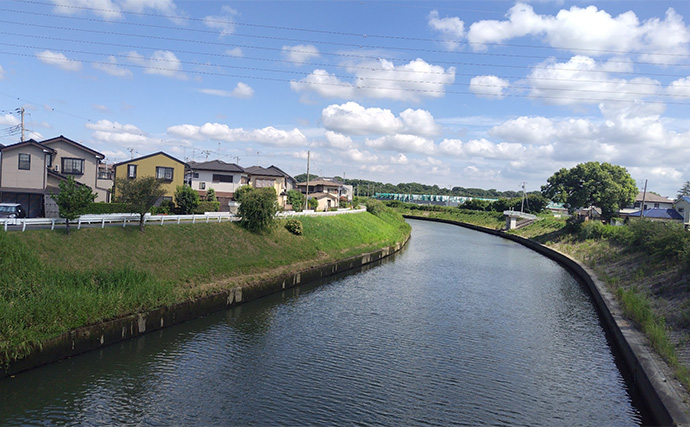 リバーシーバスゲームで62cm頭に良型シーバス3本キャッチ【千葉】流れの変化が肝