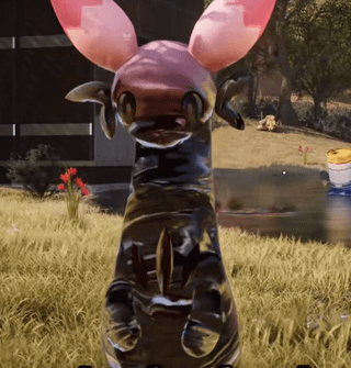 チレット・イグニス、どうしてそんなに汚いの？