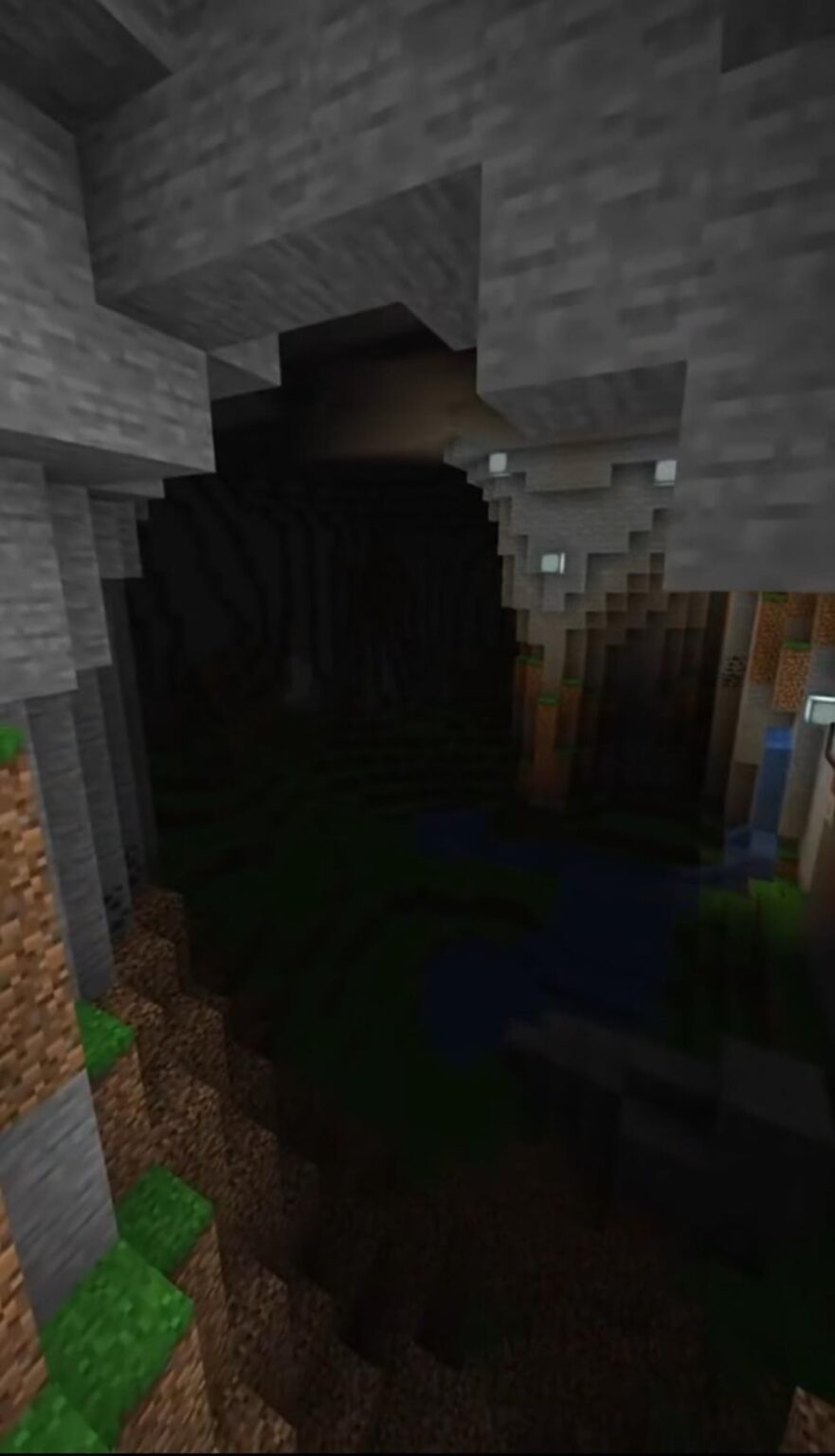 これは何の種かわかる人いますか？