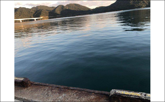 陸っぱりヒラメゲームで「60cmランカー級マゴチ」がヒット！ 本命不発もゲスト連発