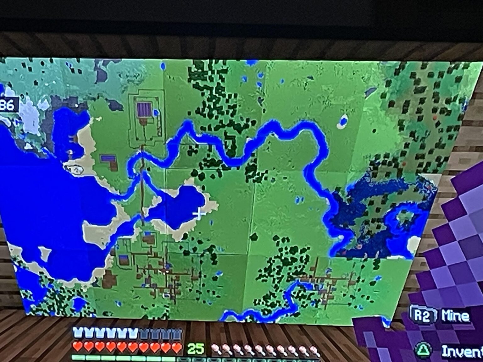 このような種を知っている人はいますか