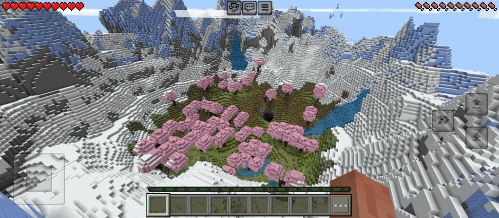 ワールドを作成したところ、中央の桜バイオームを囲む山を持つこのシードを見つけました。3 番目の画像にはシードの近くに村があります