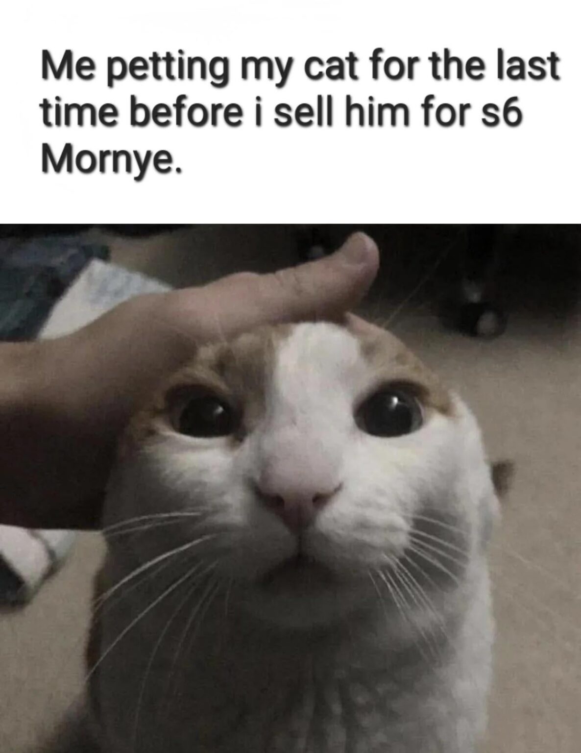 みなさん、おはようございます:)