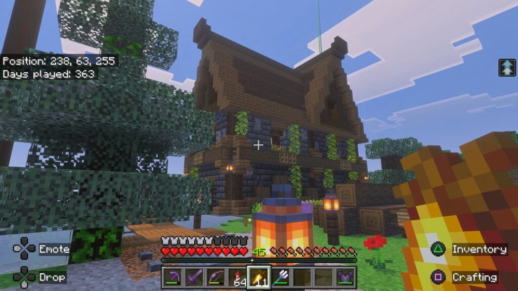 トウヒの家にテクスチャリングを初めて試みた